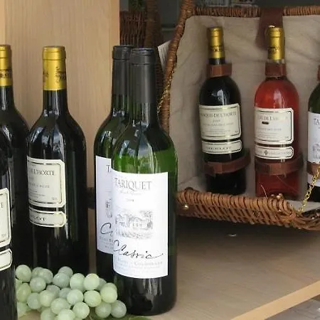 Prázdninový dům Chateau Cazaleres *